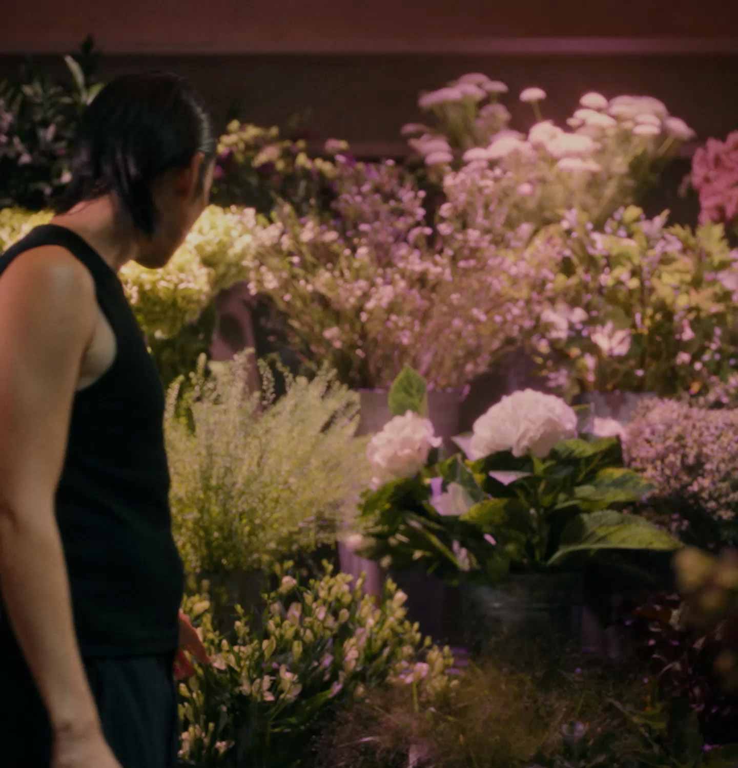 An individual looking at bouquets of flowers