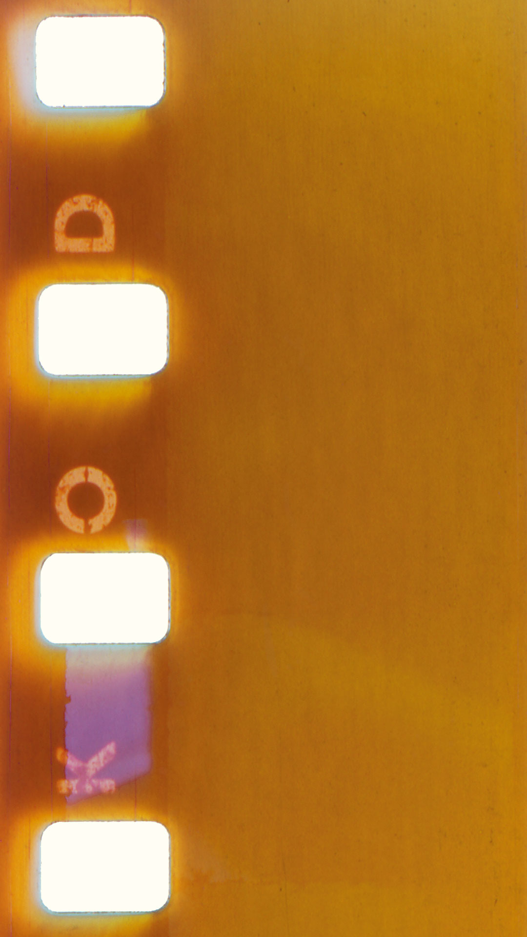 Scan of film negative.