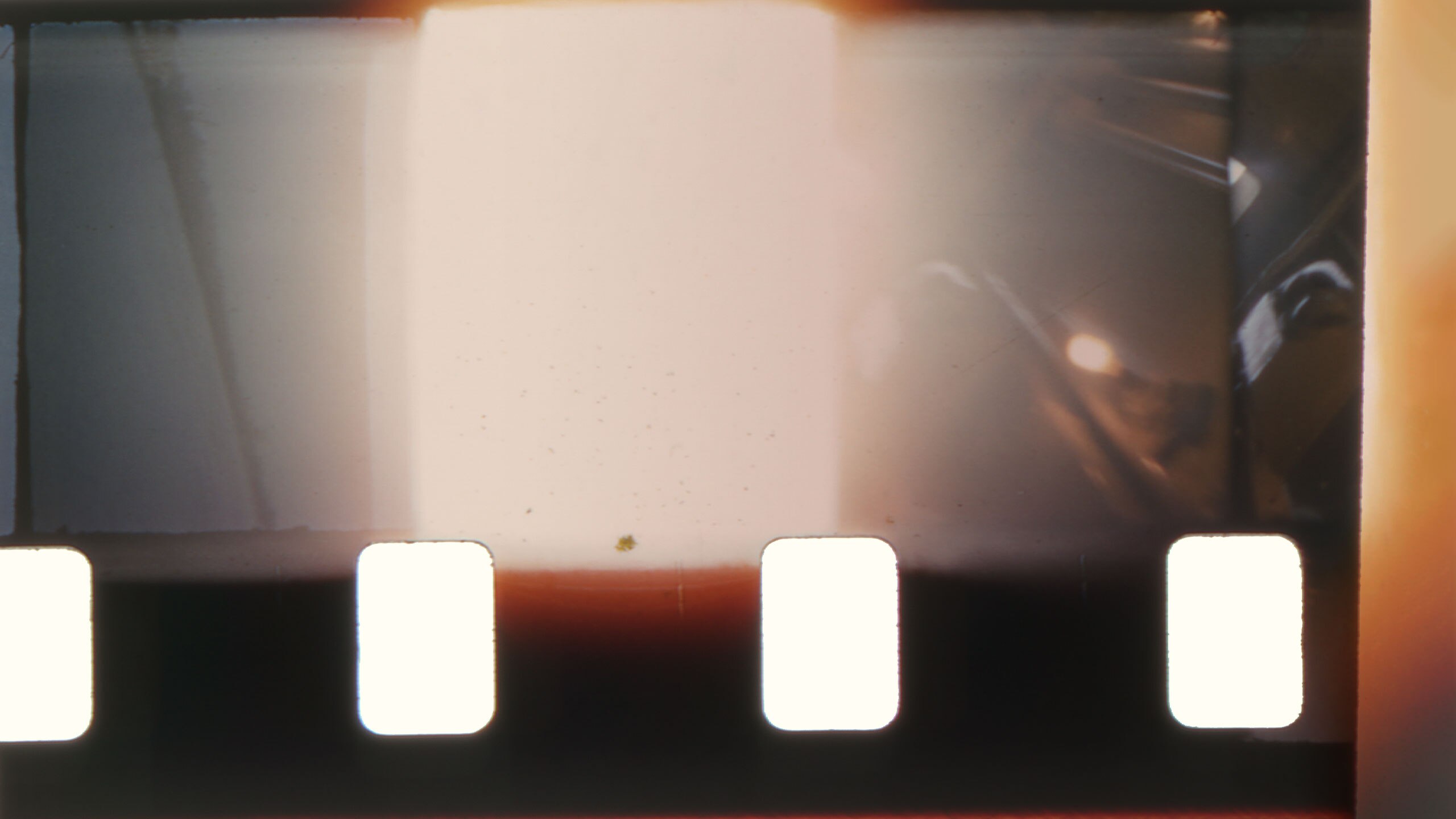 Film negative scan.